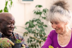 Community Network Organiser